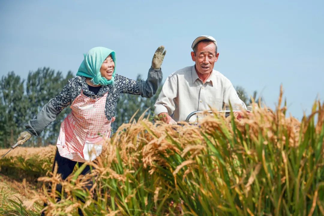 东港这么美！我要去看看