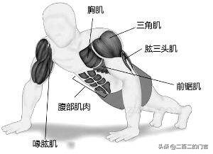胸肌怎么练不下垂哑铃,胸肌怎么练不大