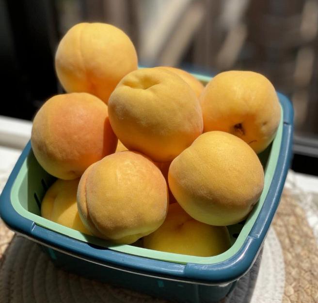 三伏天吃什么传统食物对身体好,三伏天吃什么食物有益身体健康