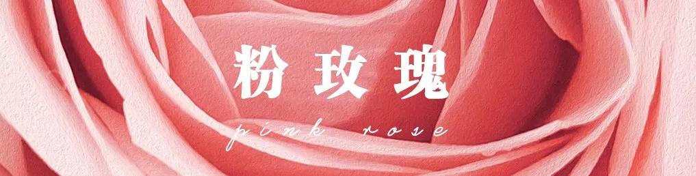 花店必备的5款玫瑰,花店最常用什么品种的玫瑰花