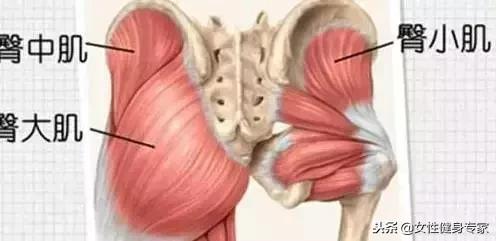 蜜桃的优缺点,蜜桃的缺点