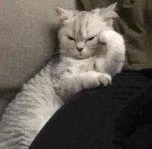 她在画画,神奇的视觉错觉画画