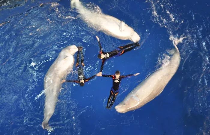 在上海适合周末放松休闲的好去处,推荐几个上海休闲好去处吧