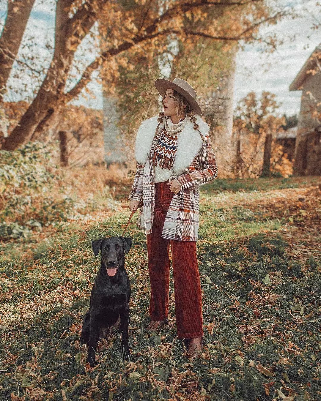 如何在日常生活中判断狗狗的健康,怎么从外表判断狗狗的健康情况