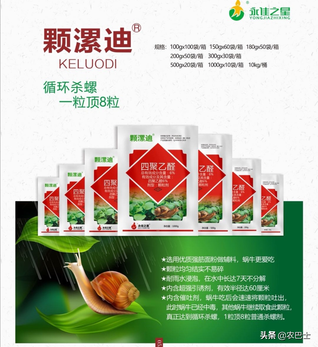 蜗牛里面有没有26000颗牙齿,蜗牛有26000颗牙齿
