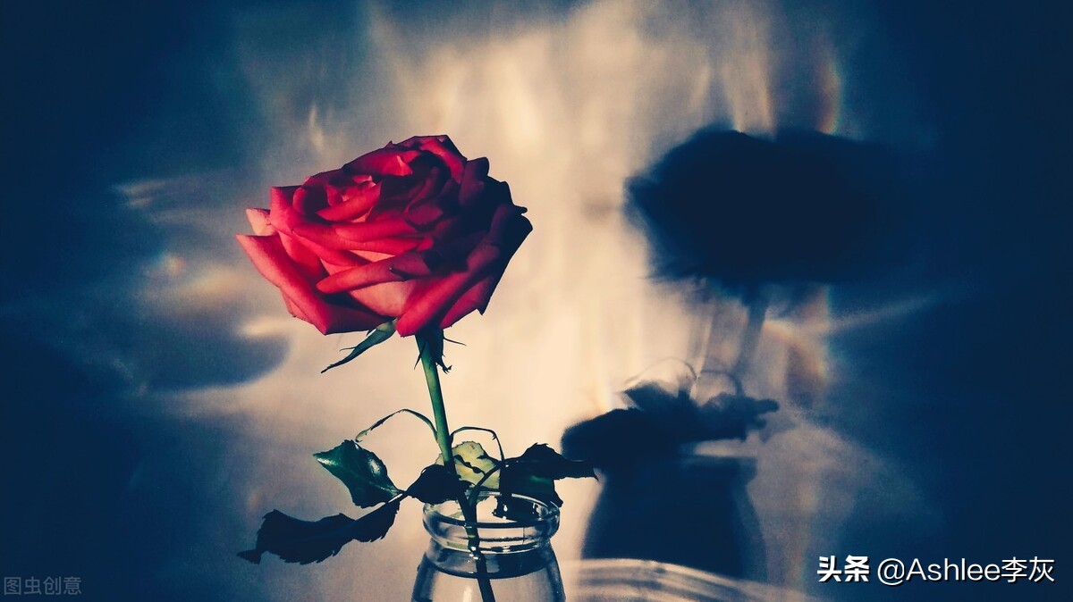 你应该追求的是独立而非自由,你从来都以为的生活就该追求自由