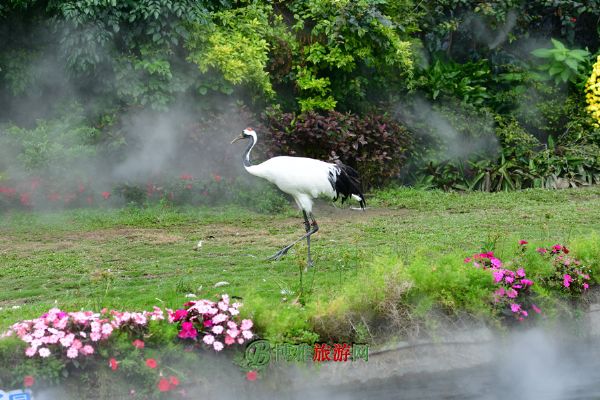 广东省海边旅游景点,广东省海景旅游景点
