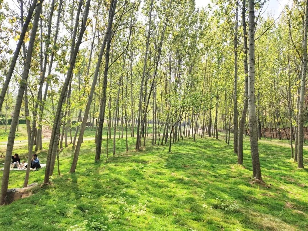 关于嵩县九皋山的诗句,嵩县田湖镇九皋山