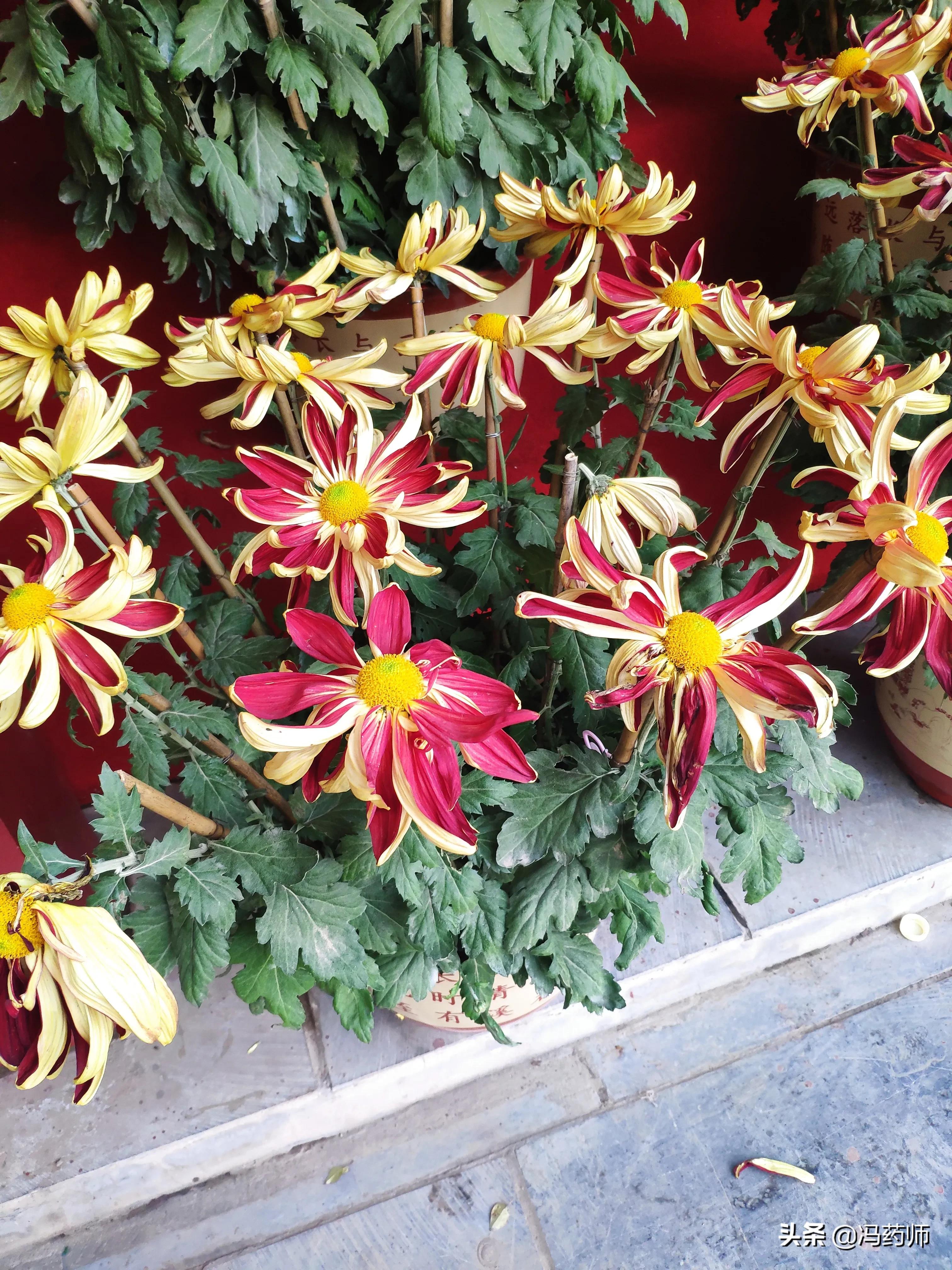 儿童禁用的抗病毒药,儿童用药慎用哪些类药