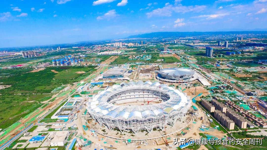 西安世园会石榴花,西安石榴花