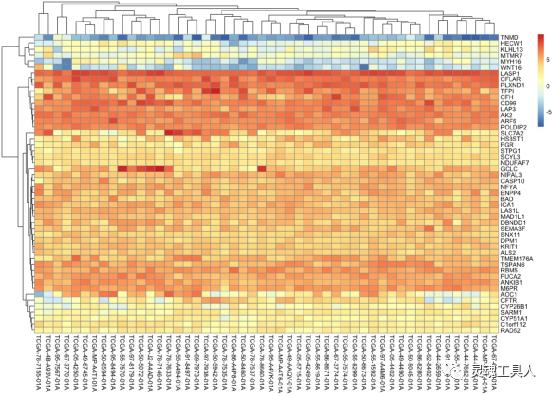 生信分析热图原理,生信分析热图的作用