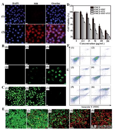 武汉大学王富安教授课题组Chem.Sci.