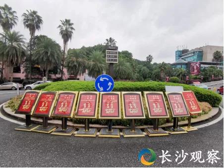 深度观察长沙全景图,长沙网红深度调查