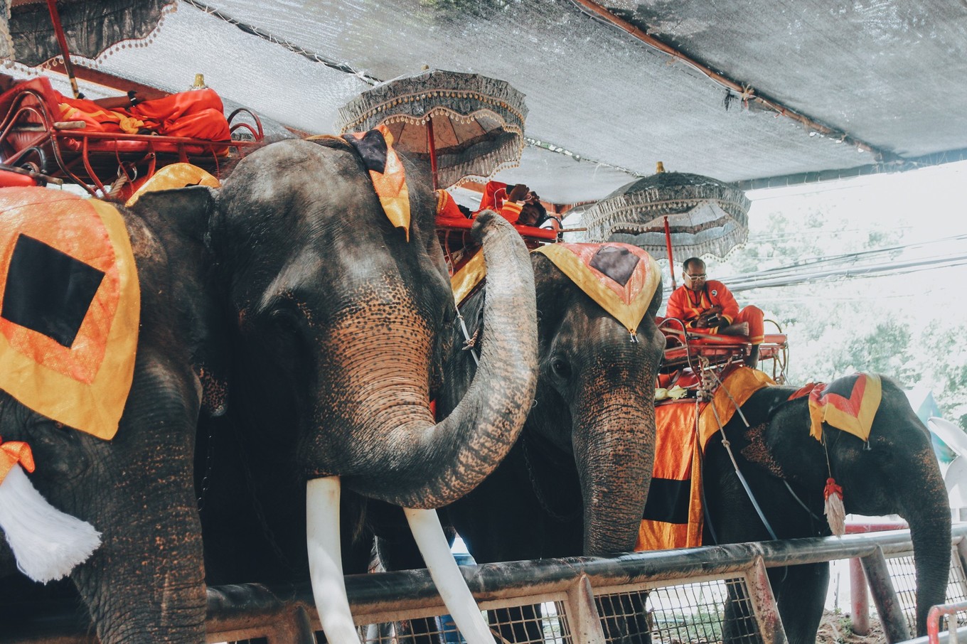 泰国旅游购物清单攻略,泰国大城一日游景点介绍