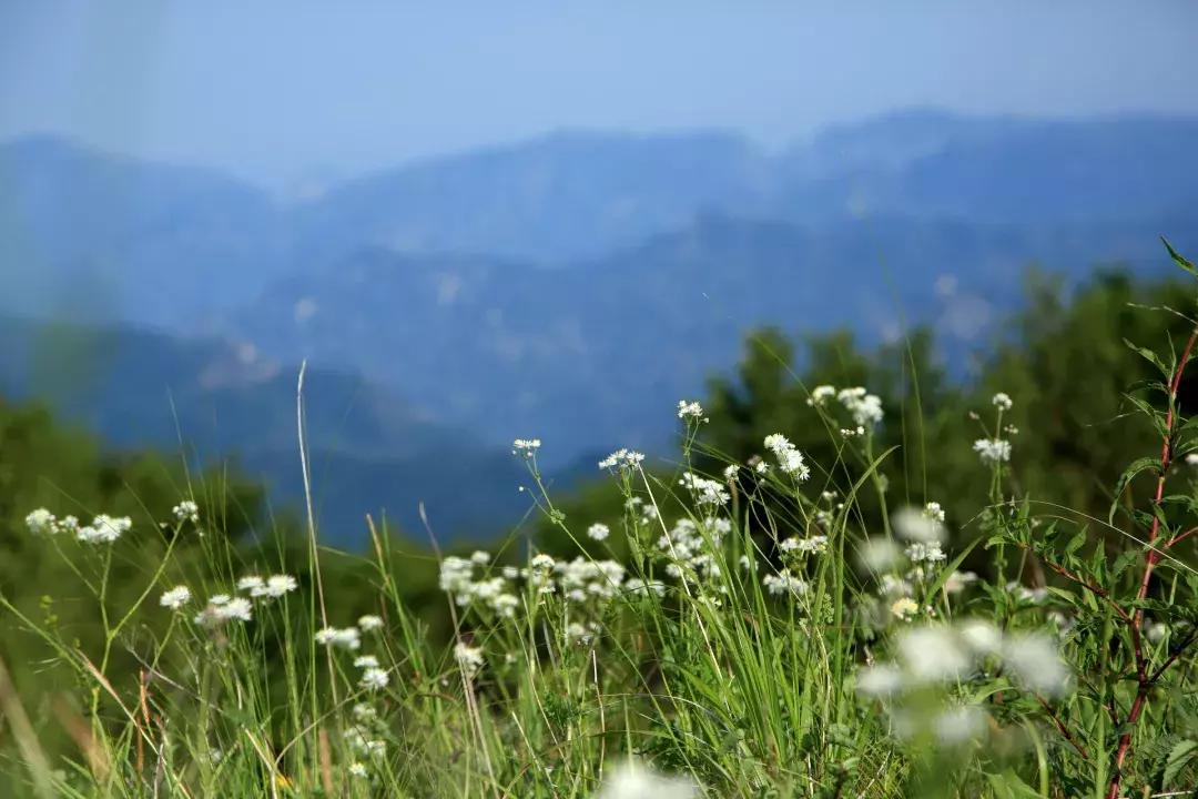 清明去哪儿玩|盘点那些值得打卡的北京周边小众景点！