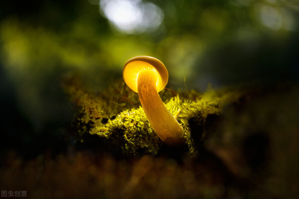 心理暗示力,心理暗示唤醒最好的自己小说