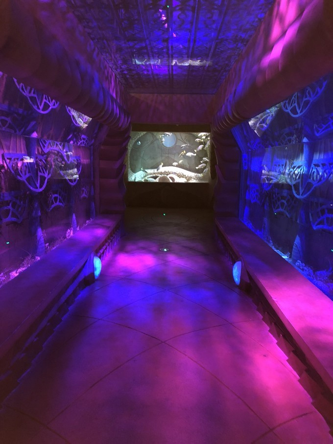 三亚自由行五天最佳攻略,三亚北纬十八度游攻略