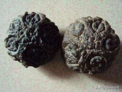 鬼脸核桃盘花了还能补救吗,鬼脸核桃裂开怎么办