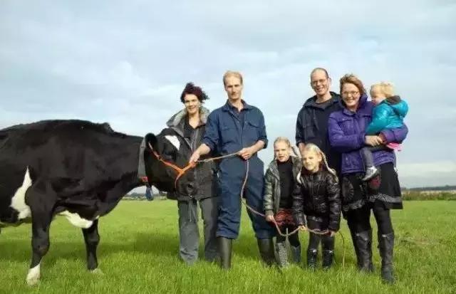 荷兰农业的惊人之处在哪里,荷兰农业是怎么养活的