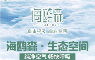 海欧森负氧离子,海鸥森