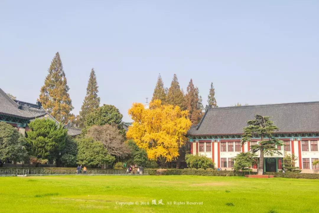 南京的大学学校面积,南京的大学有哪些