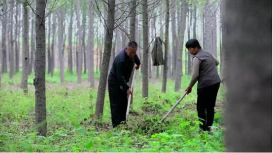 游遍中国县城,游遍中国