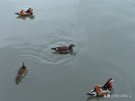 iphone12pm两年后还能用吗,苹果12pm现在还值得入手吗