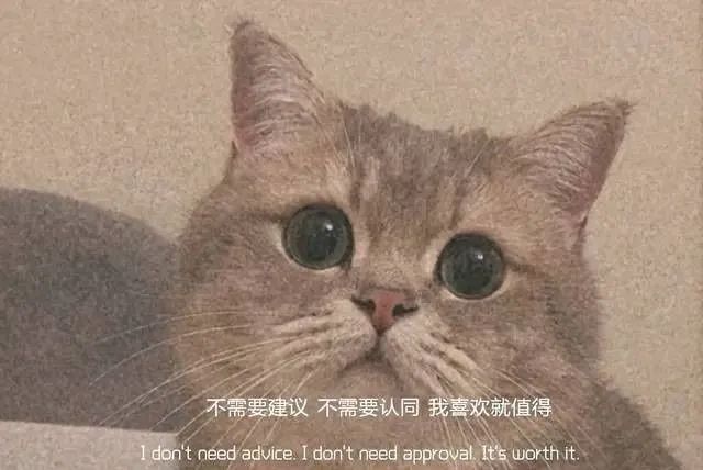 第一支dior口红,因为一支口红和男友分手