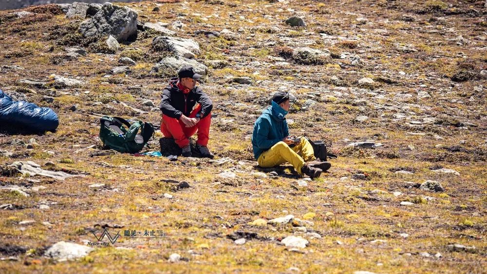 高山低谷的感悟,高山之巅的感悟