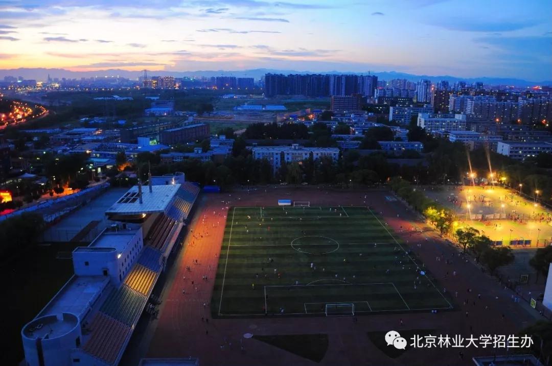 北京“绿色学府”：占地13176亩，坐拥8大餐厅，新华社、中央电视台聚焦关注！