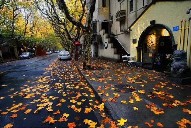 讲讲上海方言之——再话迭嗰“洋”字（方言文章）