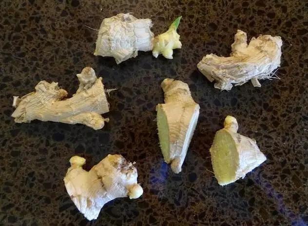 生姜盆景怎么种植,生姜盆景种植方法