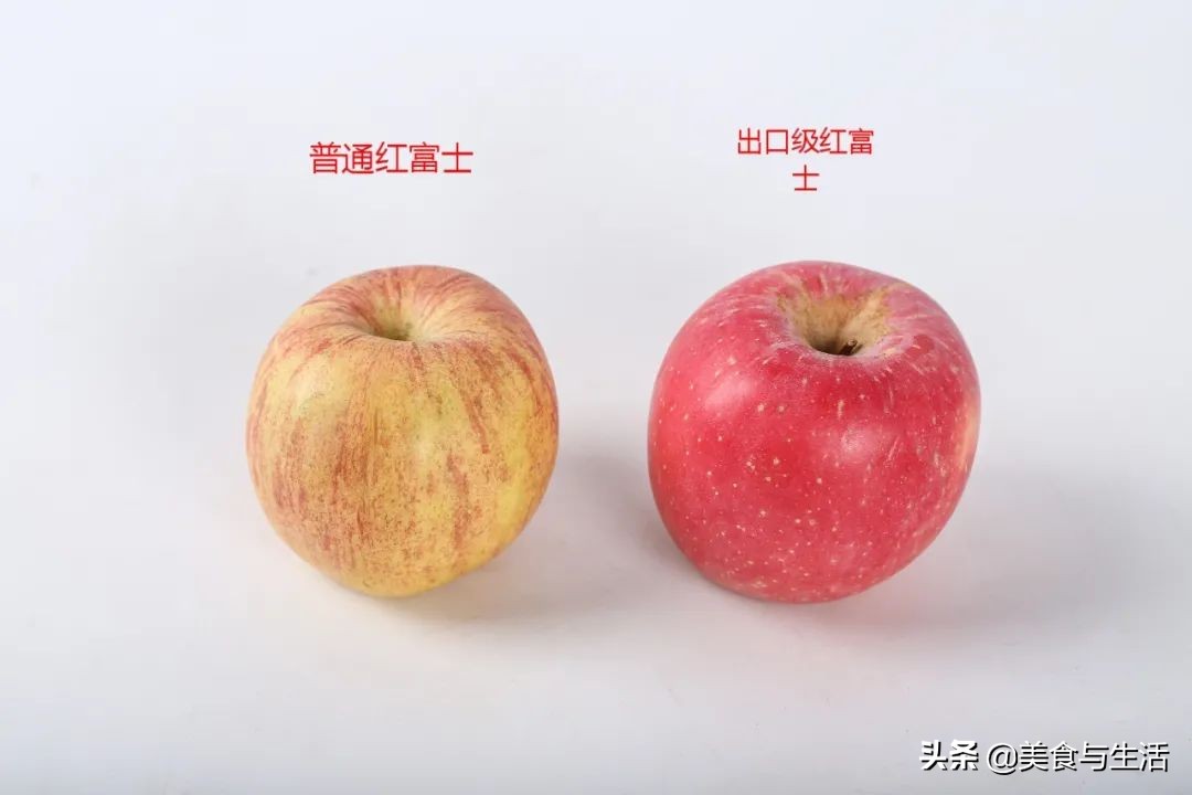 烟台红富士苹果推荐,山东烟台红富士苹果好物分享