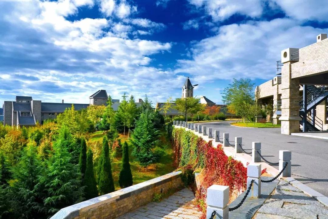 辽宁省民办大学（二）大连东软信息学院