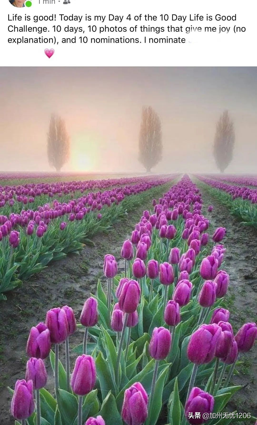 美国确诊超123万,美国确诊超60万是真的吗