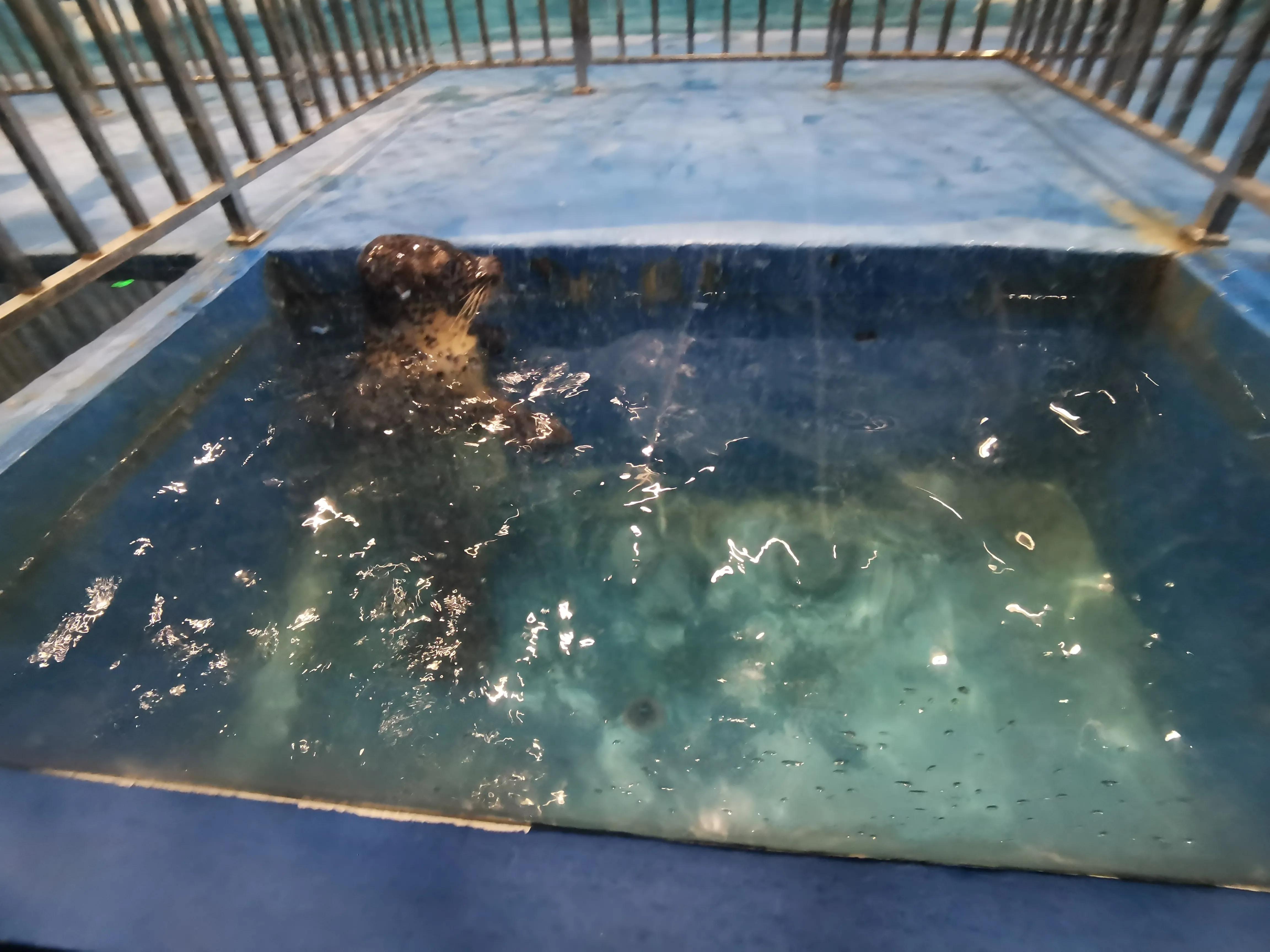 璧拌繘娴锋磱鍔ㄧ墿娴峰簳涓栫晫,鍙傝娴峰簳涓栫晫娴锋磱鍔ㄧ墿瑙嗛