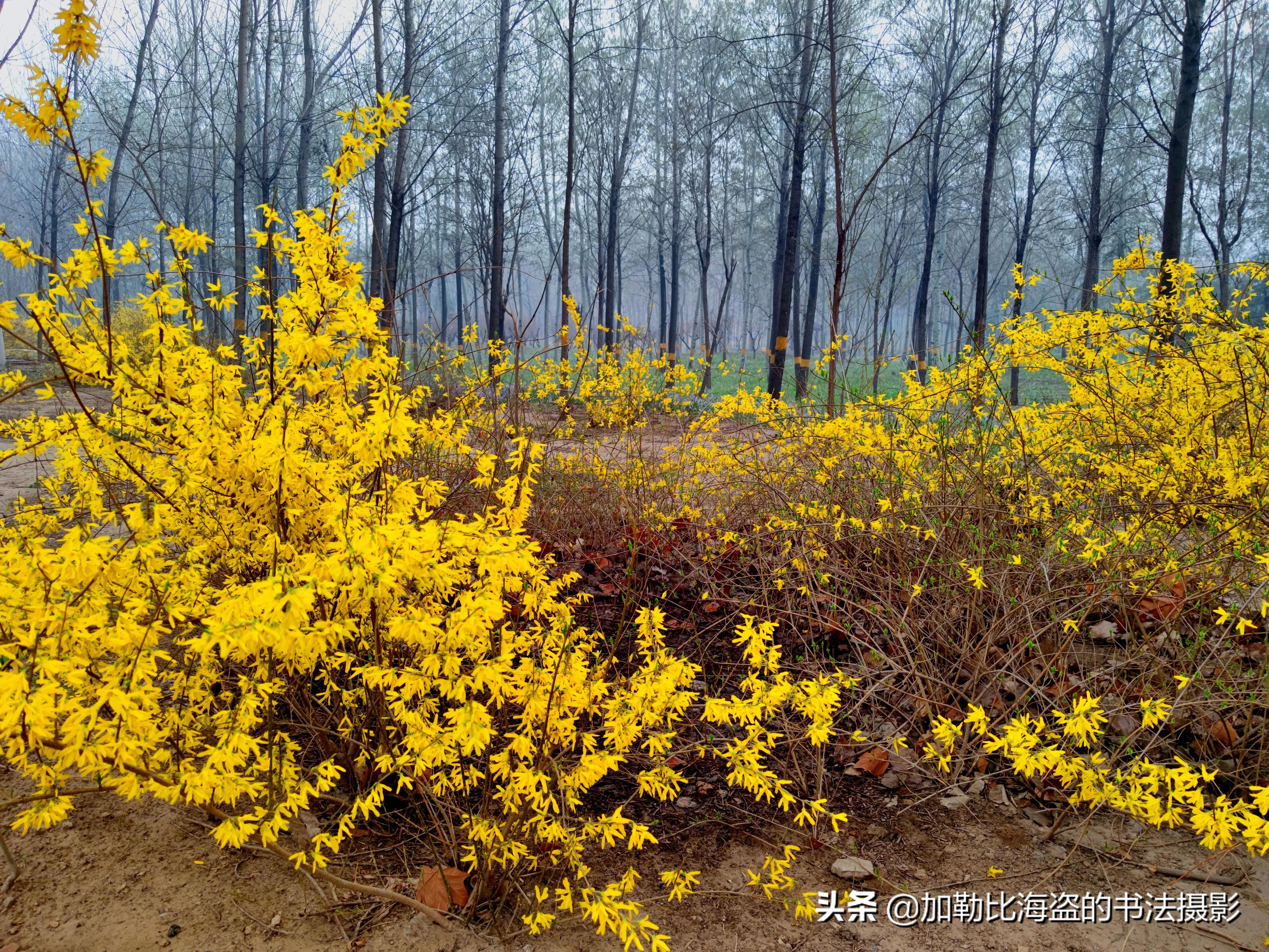 如何在公园里拍出氛围感照片,公园摄影怎么拍出高级感