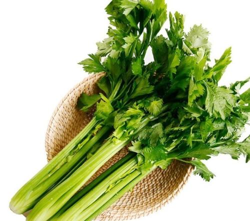 痛风缓解期降尿酸中药处方,痛风发作时吃降尿酸中药有用吗