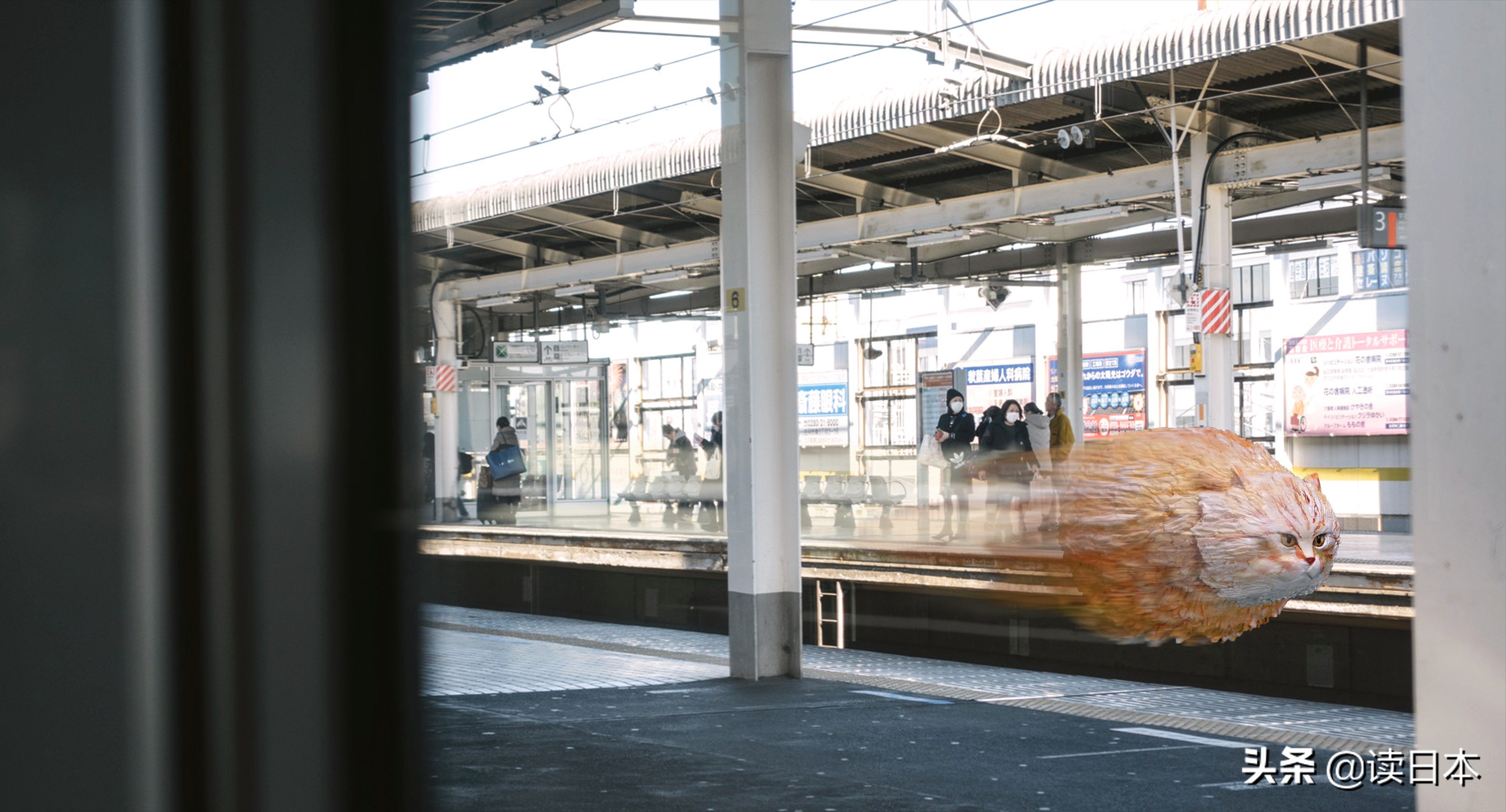 沙雕手办日本小哥,日本沙雕手办小哥