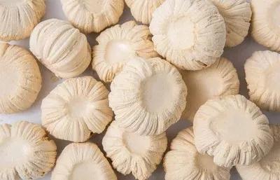 九天诗词第0036期，同题小年