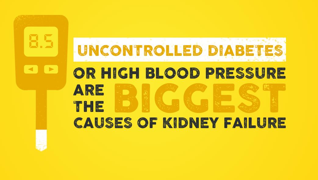 肾脏的健康与保护,关爱肾脏健康从现在做起