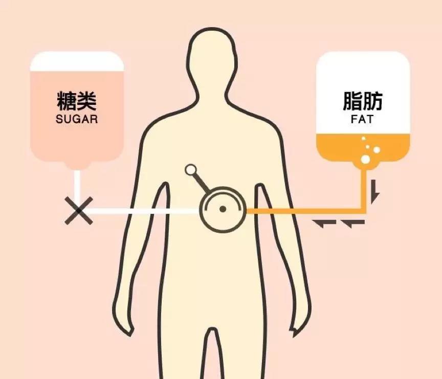 懒得动又想瘦？咔咔寿满足你，享受躺着也能瘦的幸福