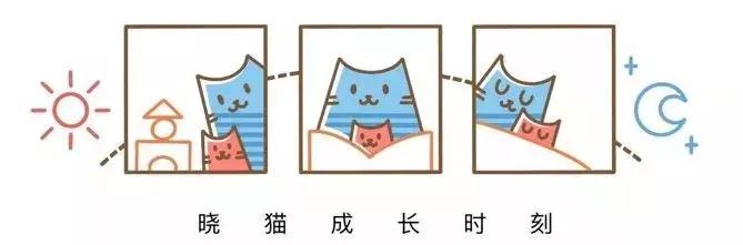 编程课程少儿编程,程序员创业少儿编程