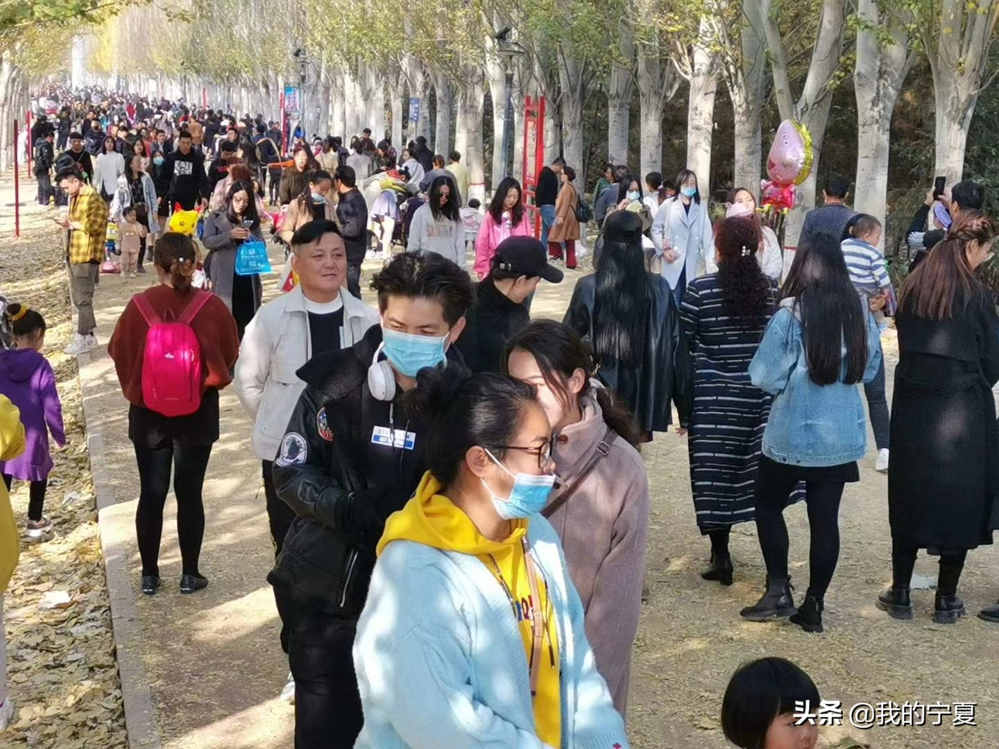 银川凤凰公园网红拍照,银川凤凰公园拍照