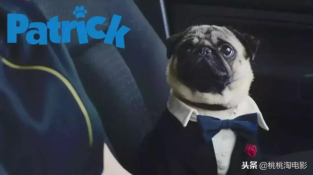 本周有哪些即将上映的电影大片,本周即将上映的动画电影