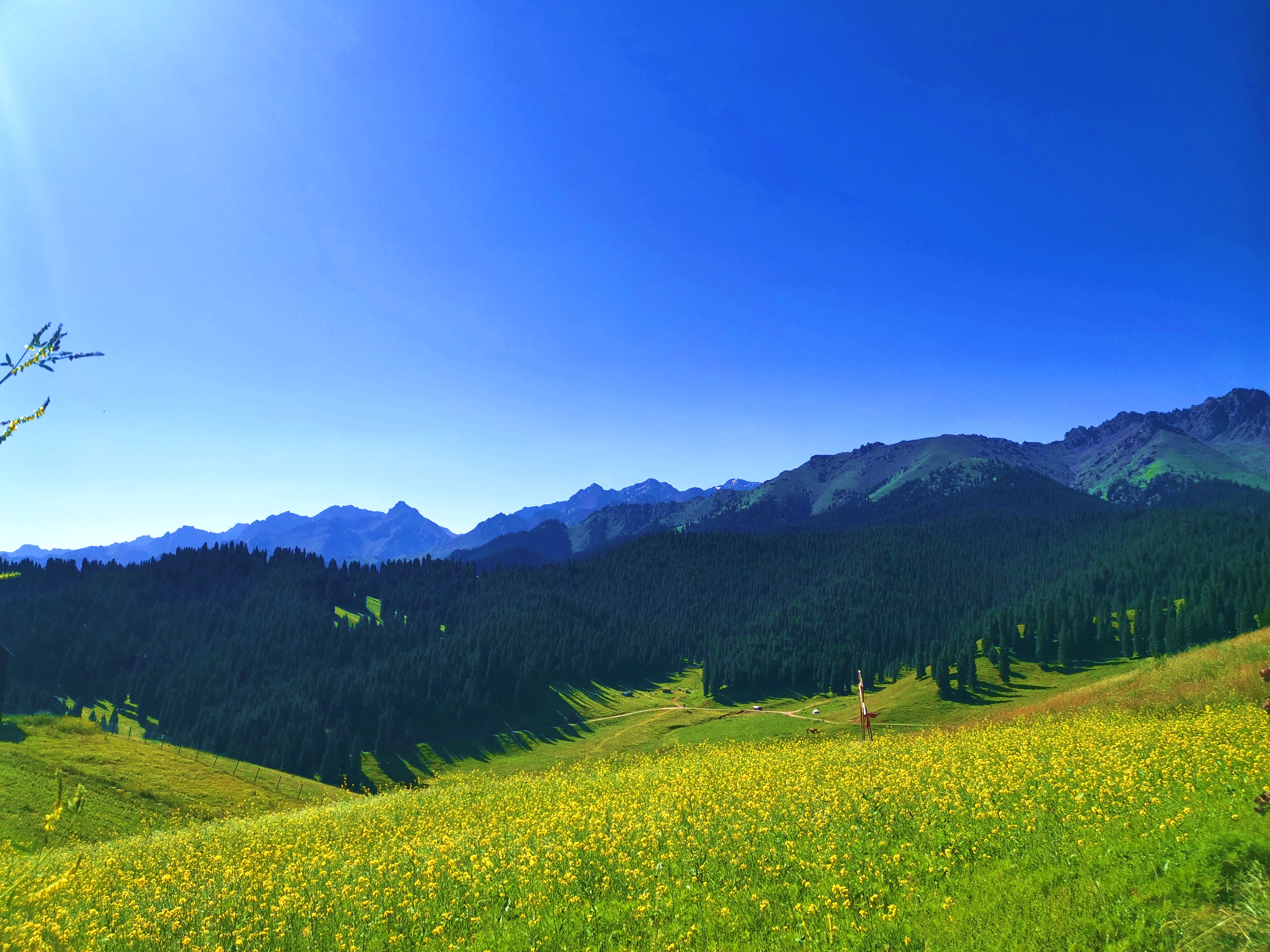 江布拉克自驾游攻略两天一夜,自驾一家三口四天三晚自由行攻略