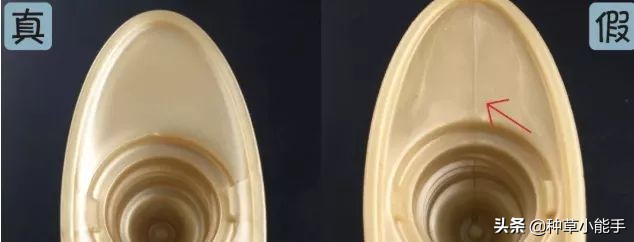 网红卖的安耐晒,安耐晒低价