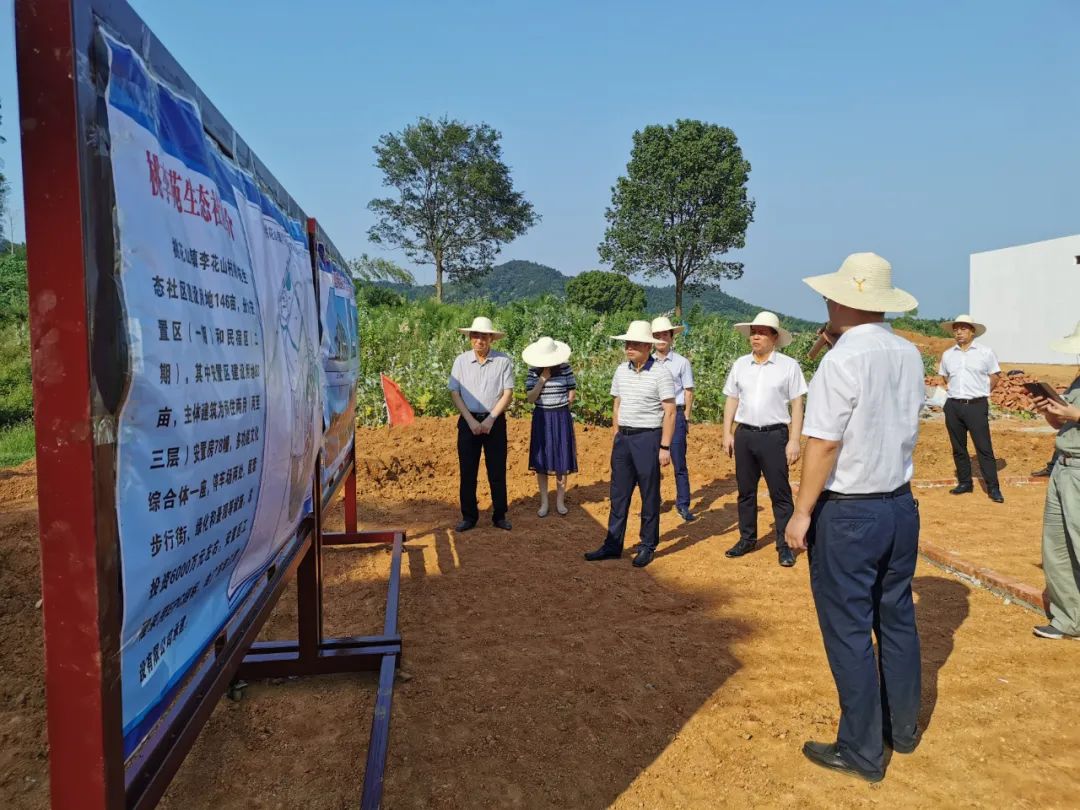 桃源小镇2025规划图,桃源最新消息发展