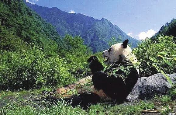 扑面而来的春风诗句,扑面而来的春风