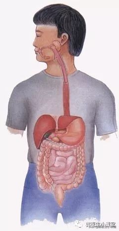 喝凉水吃雪糕对身体的害处,喝凉水吹空调会引起姨妈推迟吗